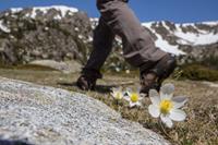 Get low and capture hiking boots on the trail.